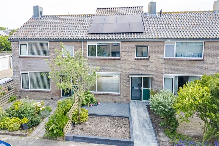 Bekijk foto 1 van Haydnstraat 14