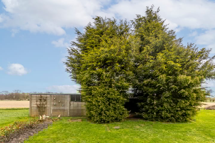 Foto 32 van Het Zand 1