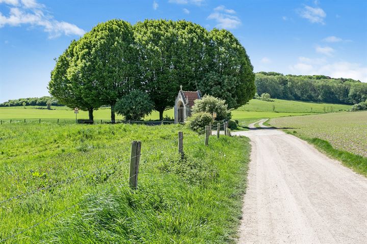 Bekijk foto 29 van Oud-Valkenburg 2