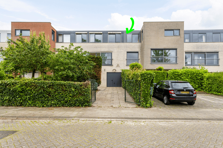 undefined main image
