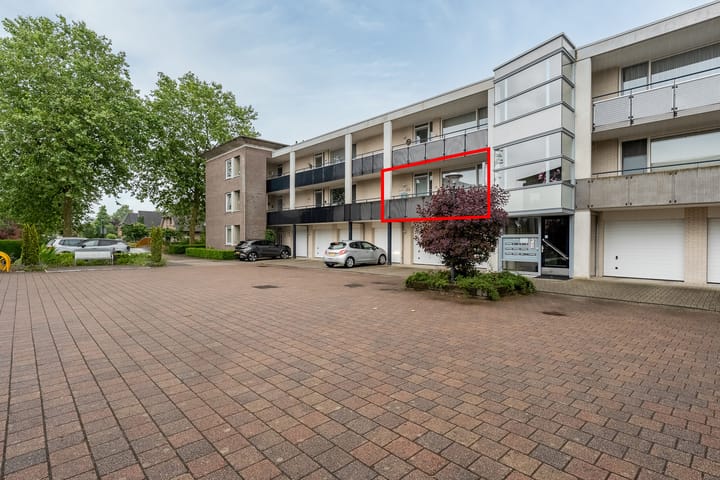 Foto 4 van Hondsroos 10