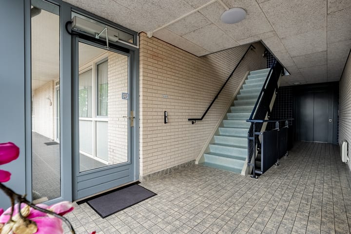 Foto 5 van Hondsroos 10