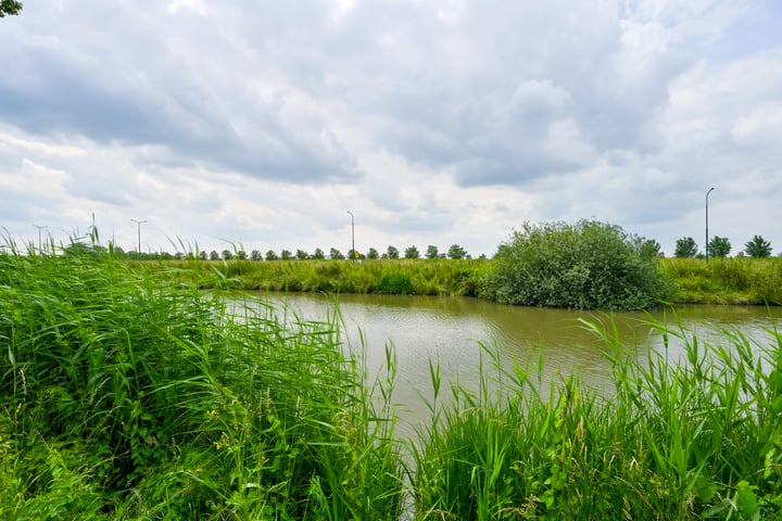 Bekijk foto 41 van Draagmuur 42