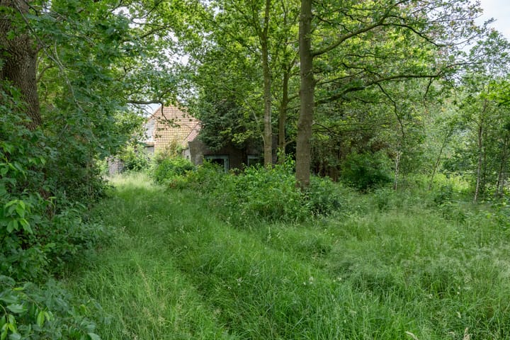 Foto 7 van Boekelterweg 3