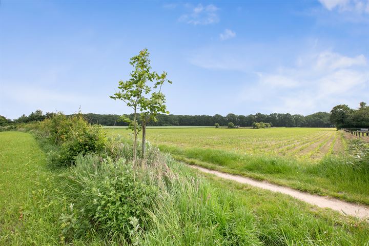 Bekijk foto 35 van Oude Bennekomseweg 74