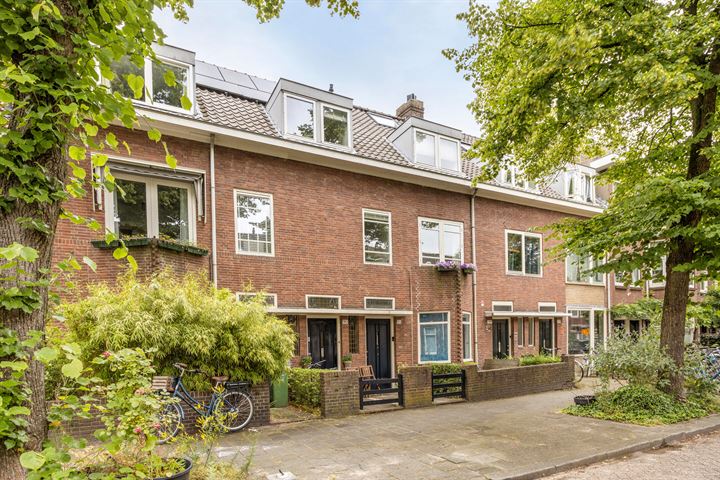 View photo 51 of van Noremborghstraat 50