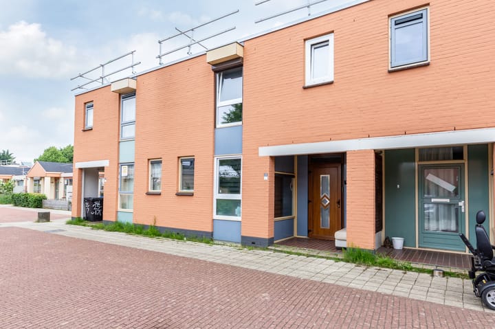 undefined main image