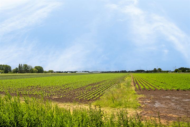 View photo 33 of Bommelskoussedijk 62