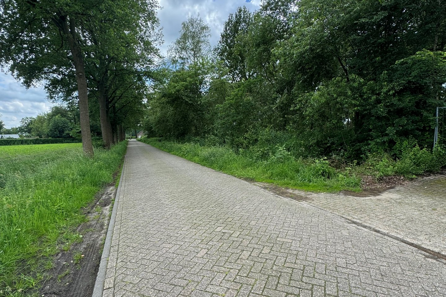 Bekijk foto 4 van Tervoortseweg