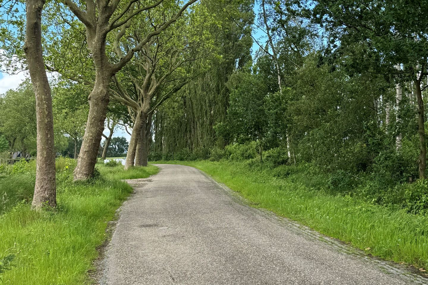 Bekijk foto 5 van Tervoortseweg