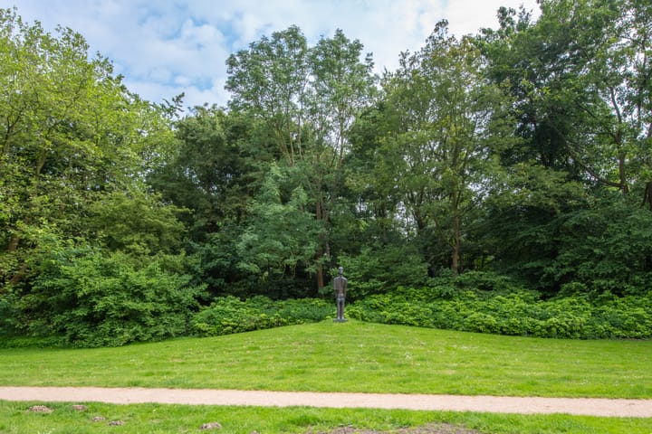 Foto 83 van Maas Geesteranusweg 6