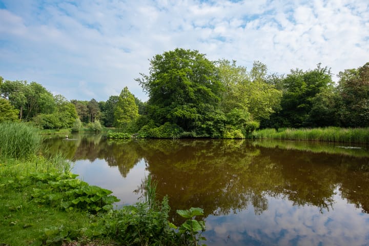 Foto 84 van Maas Geesteranusweg 6