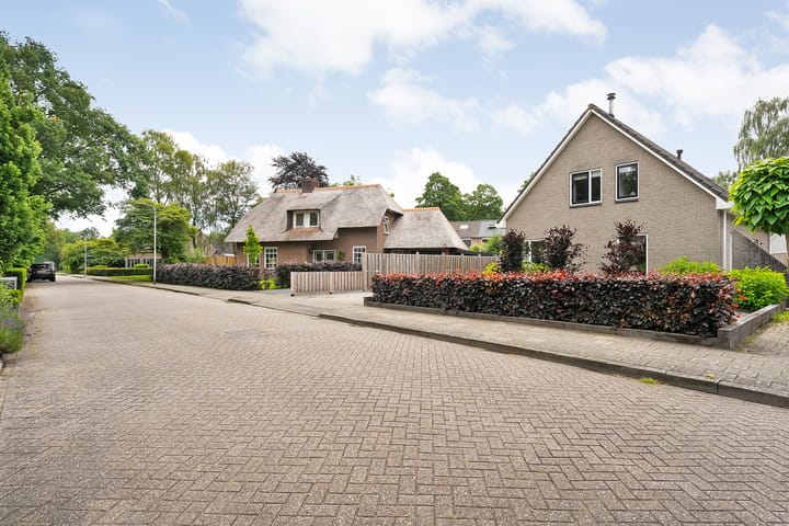 Photo 73 of De Omloop 8