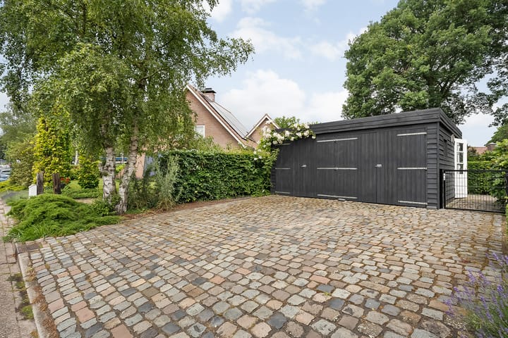 Photo 6 of De Omloop 8