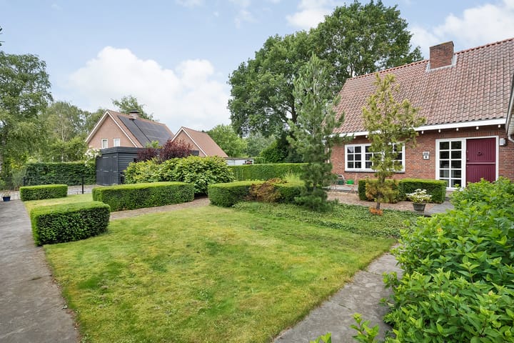 Photo 9 of De Omloop 8