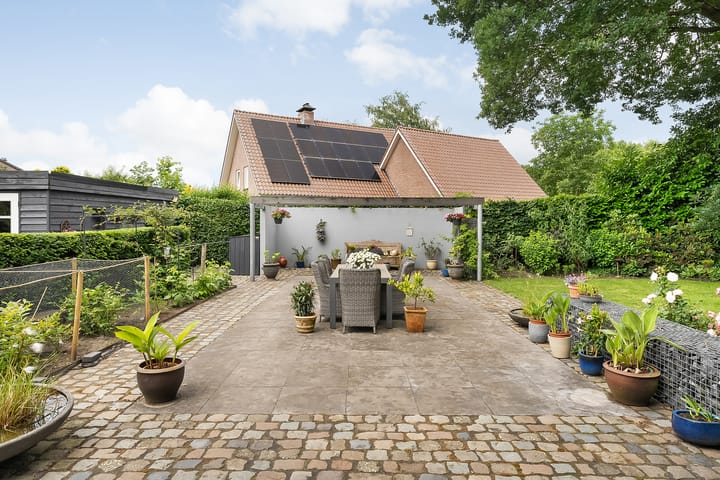 Photo 7 of De Omloop 8