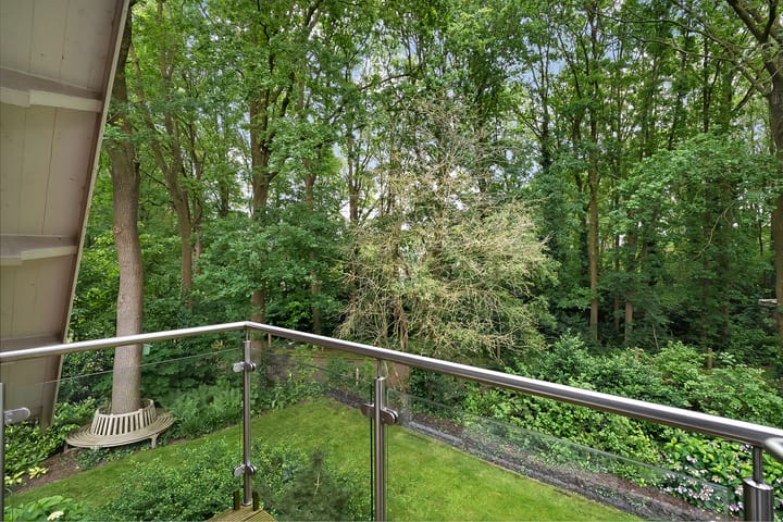 Photo 45 of De Omloop 8