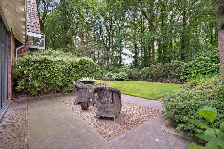 Photo 49 of De Omloop 8