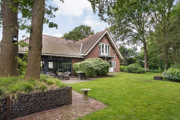 Photo 51 of De Omloop 8