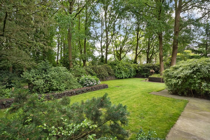 Photo 52 of De Omloop 8