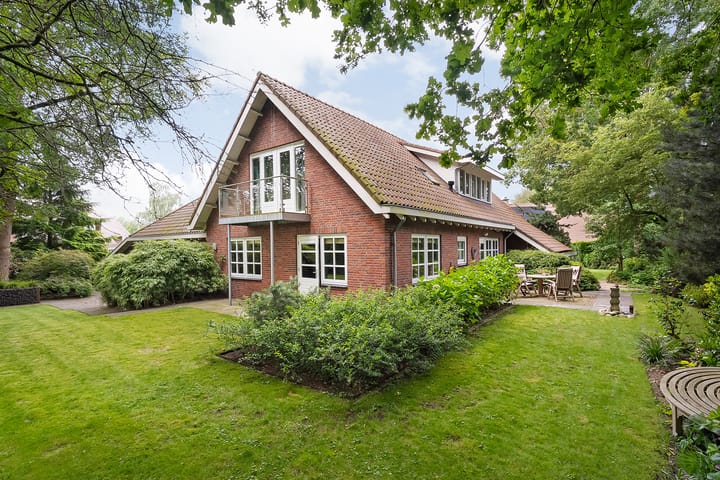 Photo 53 of De Omloop 8