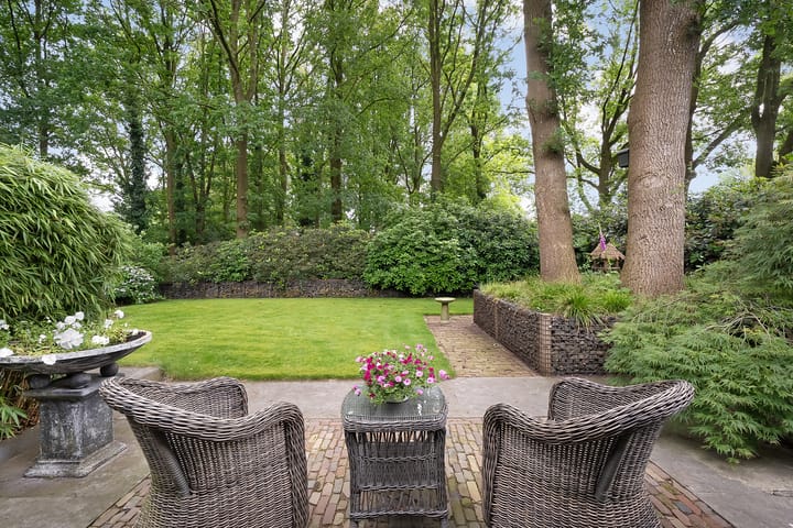 Photo 50 of De Omloop 8