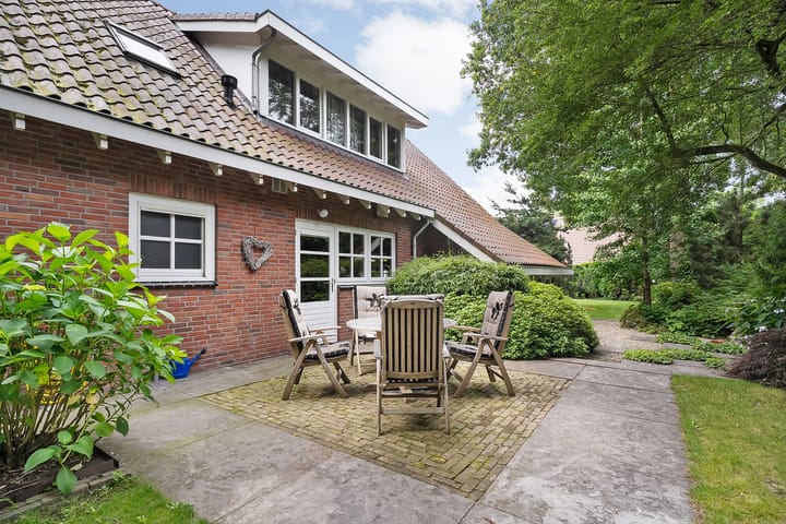 Photo 54 of De Omloop 8