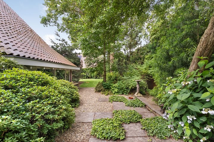 Photo 56 of De Omloop 8