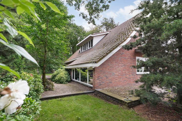 Photo 57 of De Omloop 8