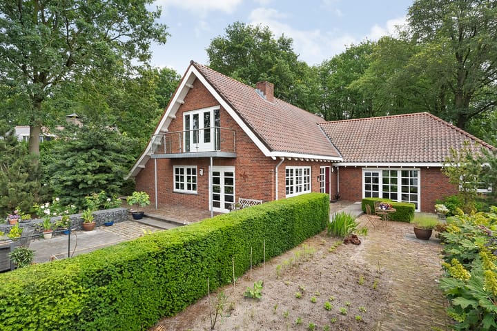 Photo 59 of De Omloop 8