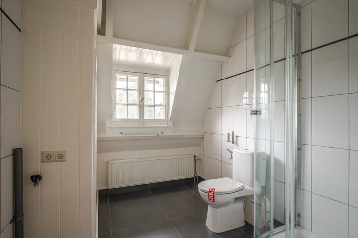 Foto 33 van Bothaplein 8