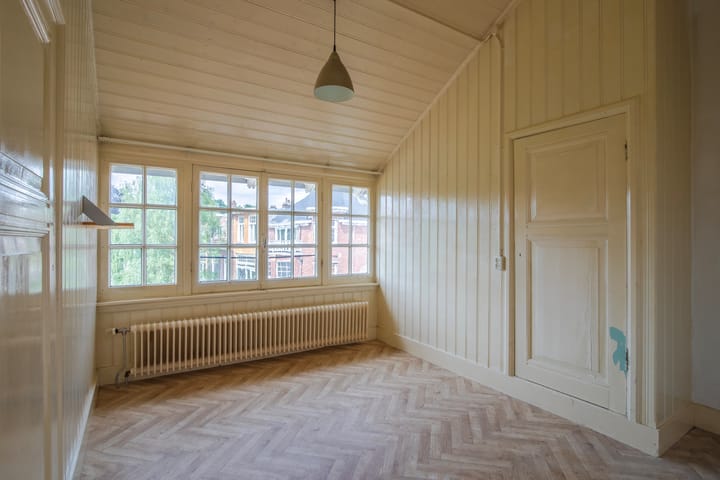 Foto 32 van Bothaplein 8