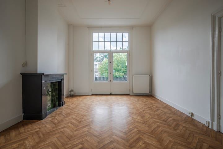 Foto 22 van Bothaplein 8