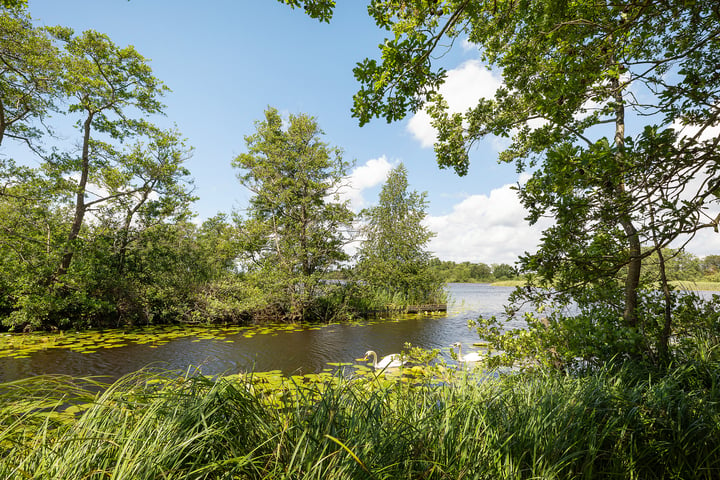 Bekijk foto 33 van Oud-Loosdrechtsedijk 168-C12