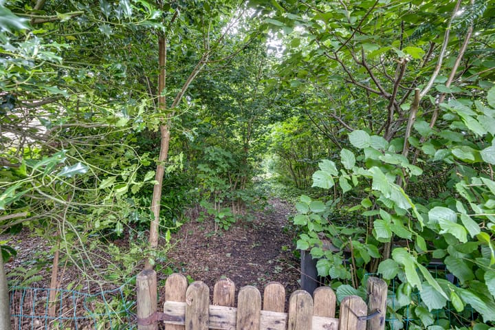 Foto 46 van Westerwijk 45