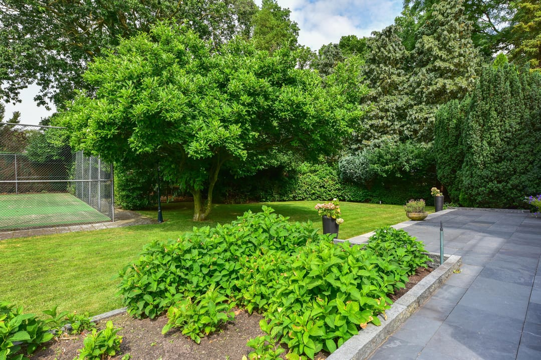 Foto 26 van Zuiderzeestraatweg 66