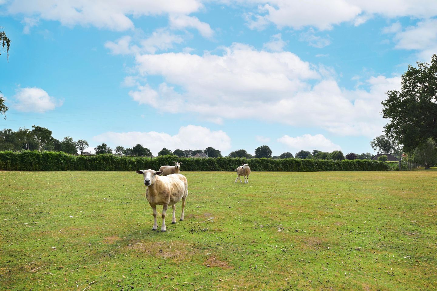 Foto 35 van Zuiderzeestraatweg 66