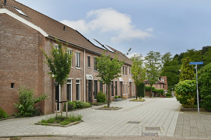 Bekijk foto 36 van Frankrijkstraat 3