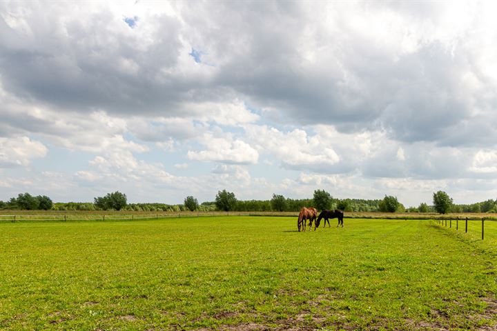 Bekijk foto 38 van Ekamperweg 29