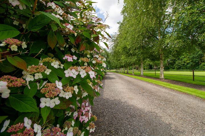 Bekijk foto 57 van Ekamperweg 29