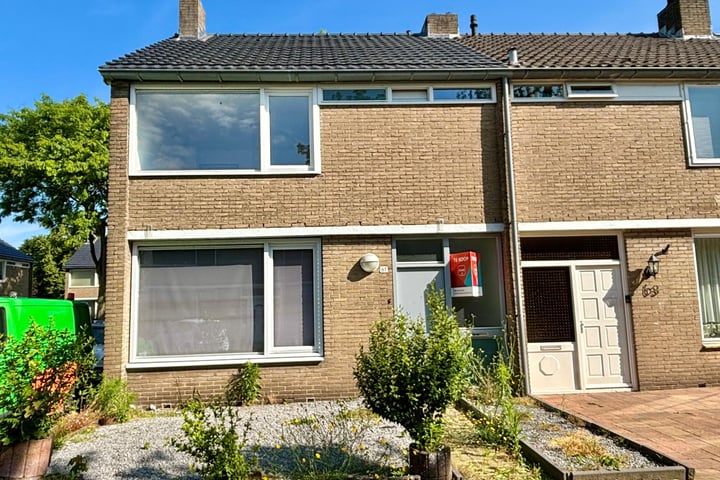 Bekijk foto 1 van Gerard Doustraat 61