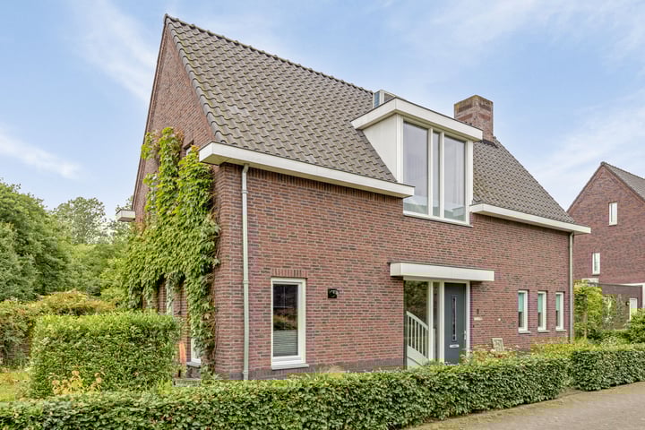 Bekijk foto 2 van Olievlas 1