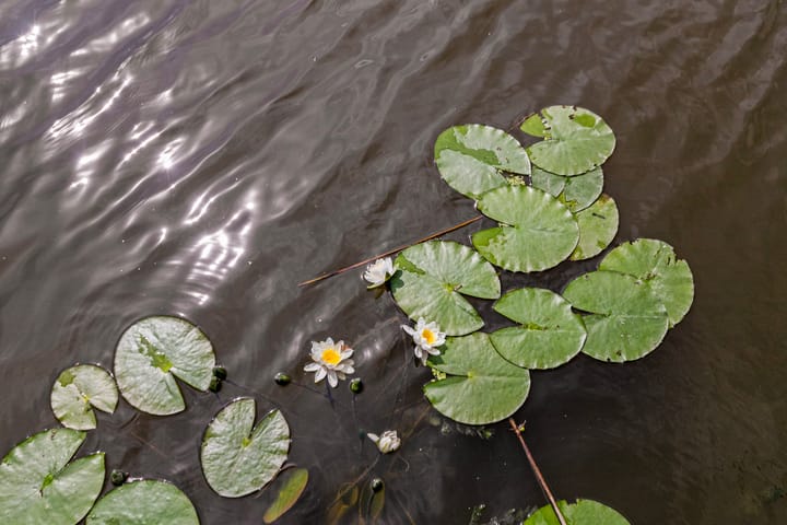 Photo 63 of Rijksweg 65