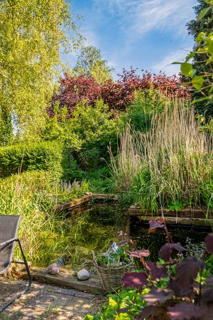 Photo 87 of Rijksweg 65