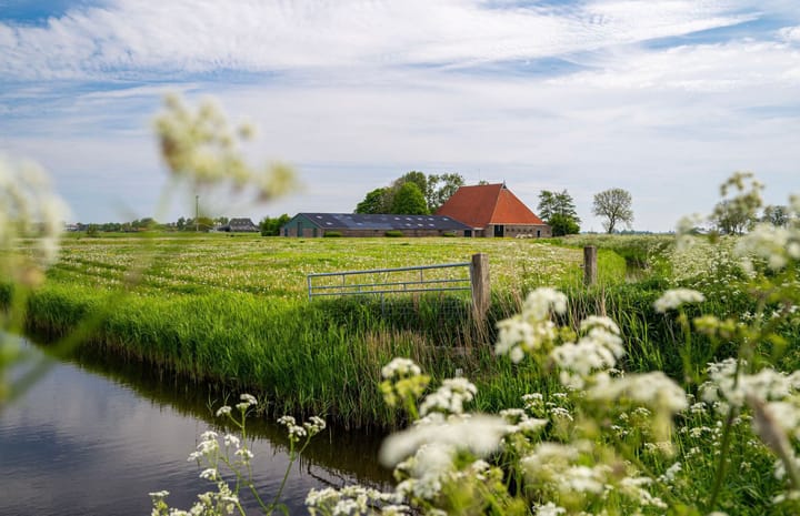 Foto 4 van Keimptilsterdyk 2