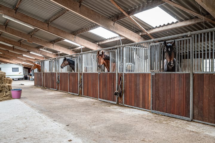 Foto 41 van Keimptilsterdyk 2