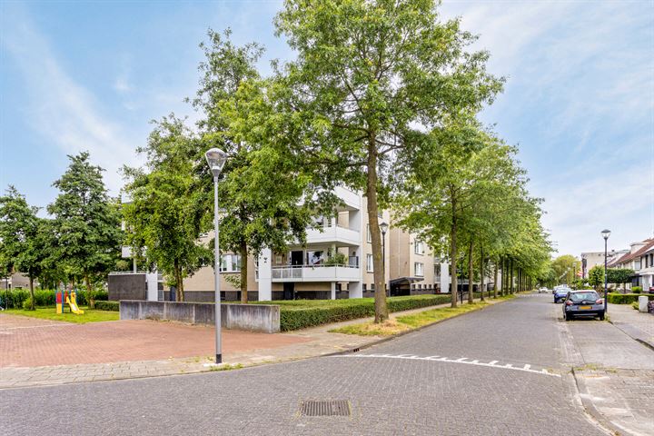 Bekijk foto 31 van Meester Broerensingel 24