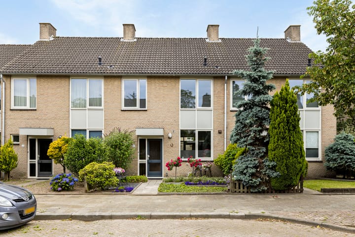 undefined main image