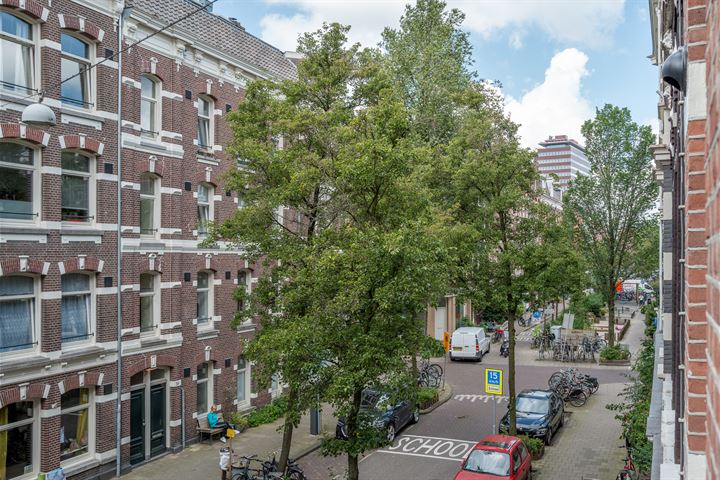 Bekijk foto 14 van Hemonystraat 49-1