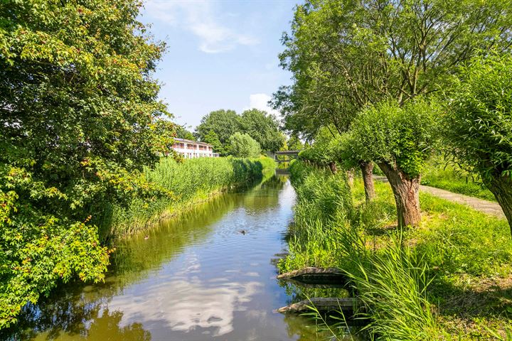 Bekijk foto 5 van Telemannrode 8